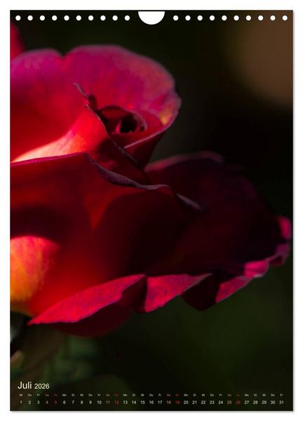 Produktbild: Gartenrosen (Wandkalender 2026 DIN A4 hoch), CALVENDO Monatskalender