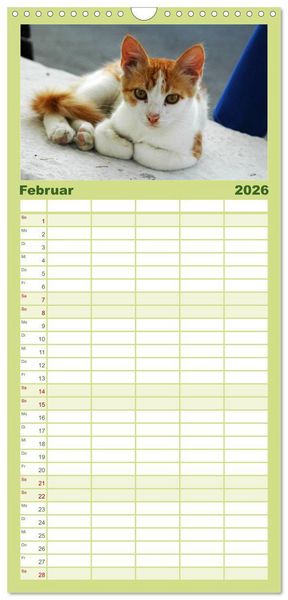 Produktbild: Familienplaner 2026 - Griechische Katzen mit 5 Spalten (Wandkalender, 21 x 45 cm) CALVENDO