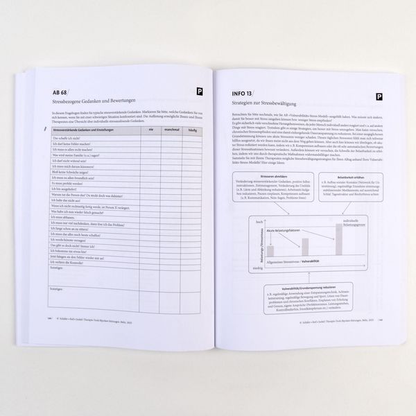 Produktbild: Therapie-Tools Bipolare St&ouml;rungen