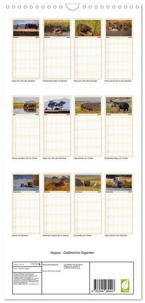 Produktbild: Familienplaner 2027 - Hippos - Gef&auml;hrliche Giganten mit 5 Spalten (Wandkalender, 21 x 45 cm) CALVENDO