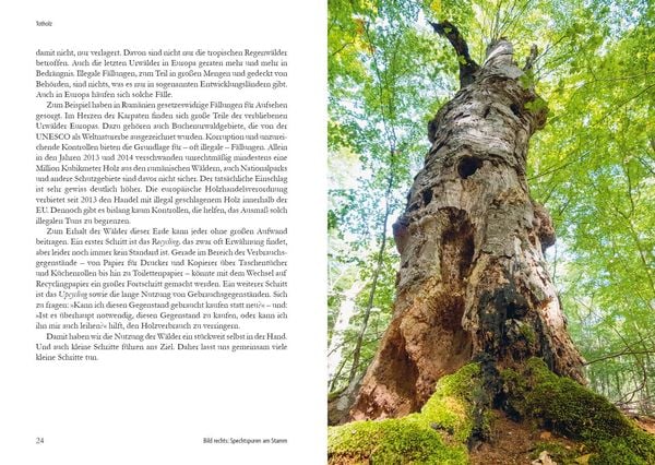Produktbild: Wunderwelt Totholz
