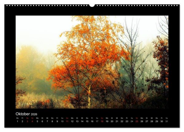 Produktbild: Landschaft Teufelsmoor / 2026 (hochwertiger Premium Wandkalender 2026 DIN A2 quer), Kunstdruck in Hochglanz