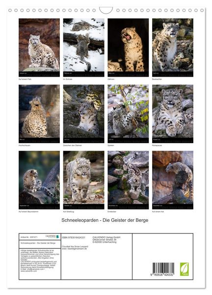 Produktbild: Schneeleoparden - Die Geister der Berge (Wandkalender 2026 DIN A3 hoch), CALVENDO Monatskalender