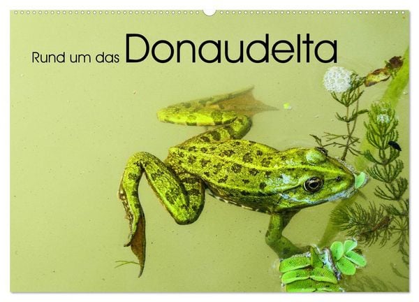 Produktbild: Rund um das Donaudelta (Wandkalender 2026 DIN A2 quer), CALVENDO Monatskalender