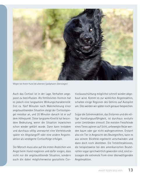 Produktbild: Mein Hund hat Angst