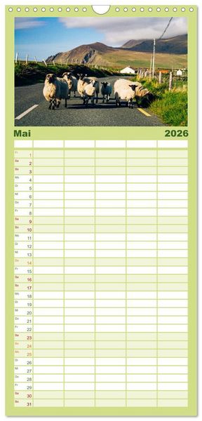 Produktbild: Familienplaner 2026 - Wir sehen uns in Irland - Ring of Beara und Ring of Kerry mit 5 Spalten (Wandkalender, 21 x 45 cm) CALVENDO