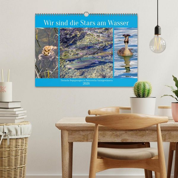 Produktbild: Wir sind die Stars am Wasser (Wandkalender 2026 DIN A3 quer), CALVENDO Monatskalender