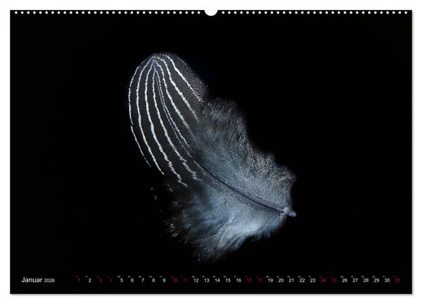 Produktbild: Federleichte Momente (Wandkalender 2026 DIN A2 quer), CALVENDO Monatskalender