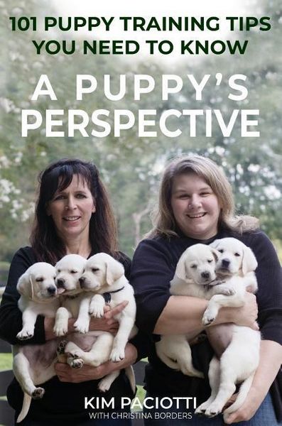 Produktbild: A Puppy's Perspective