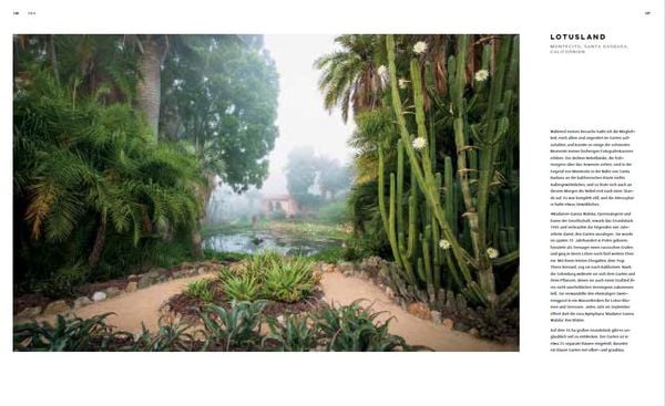 Produktbild: Dreamscapes