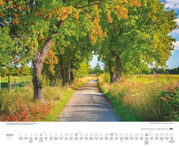 'DUMONT - Wege in die Natur 2025 Wandkalender, 52x42,5cm, Fotokunst-Kalender mit Motiven von 