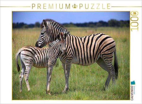 Produktbild: CALVENDO Puzzle Zebras | 1000 Teile Lege-Gr&ouml;&szlig;e 64x48cm Foto-Puzzle f&uuml;r gl&uuml;ckliche Stunden