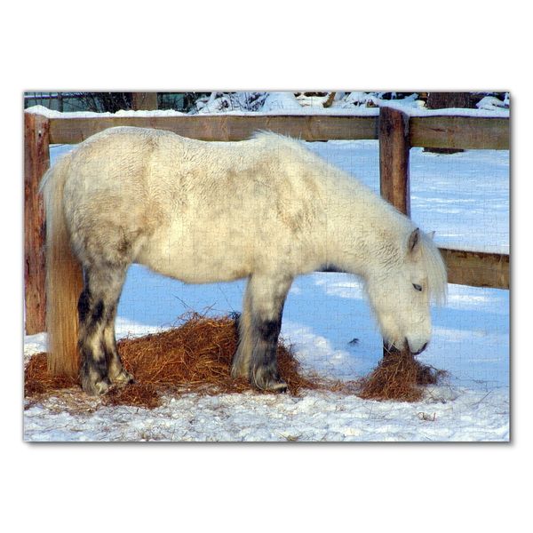 Produktbild: Lais Puzzle Shetland Pony 1000 Teile