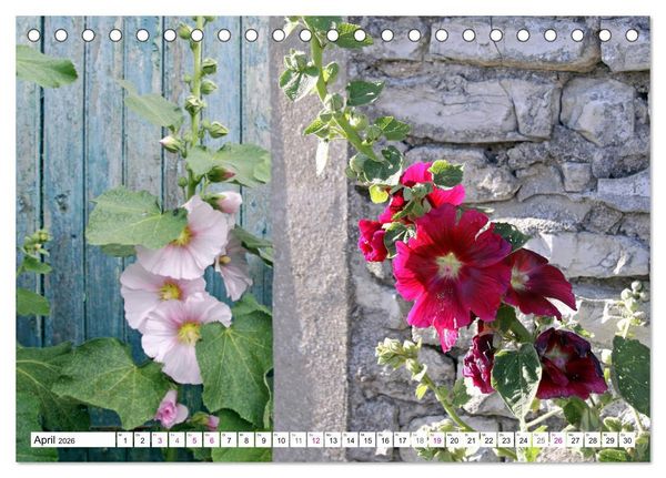 Produktbild: &Icirc;le de R&eacute; (Tischkalender 2026 DIN A5 quer), CALVENDO Monatskalender