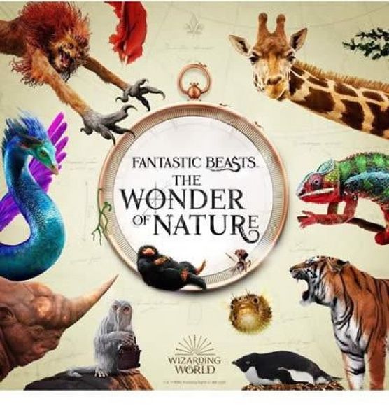Produktbild: Fantastic Beasts: The Wonder of Nature