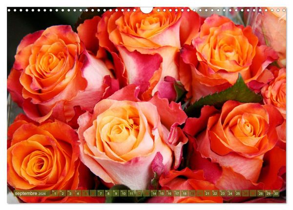 Produktbild: Le moment des roses (Calendrier mural 2026 DIN A3 vertical), CALVENDO calendrier mensuel