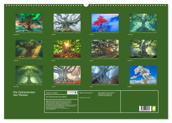 Produktbild: Die Zeitreisenden des Waldes (Wandkalender 2026 DIN A2 quer), CALVENDO Monatskalender
