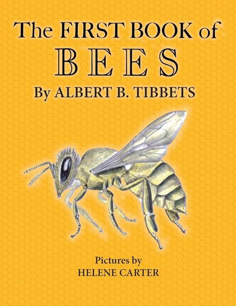Produktbild: The First Book of Bees