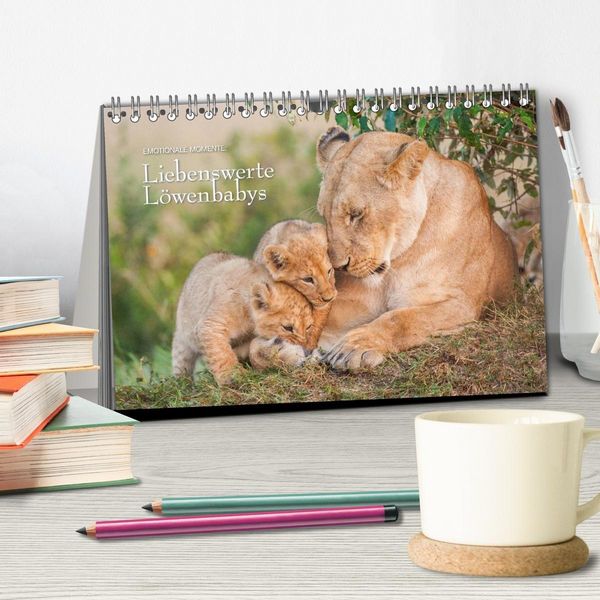 Produktbild: Emotionale Momente: Liebenswerte L&ouml;wenbabys / CH-Version (Tischkalender 2027 DIN A5 quer), CALVENDO Monatskalender
