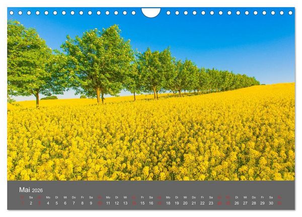 Produktbild: Sch&ouml;nes Meck-Pomm (Wandkalender 2026 DIN A4 quer), CALVENDO Monatskalender