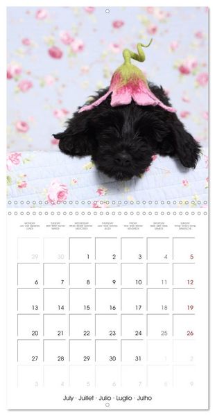 Produktbild: Sleeping Puppies (Wall Calendar 2026 12 &times; 12 Inch) CALVENDO 12 Month Wall Calendar