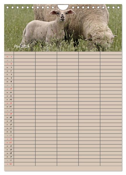 Produktbild: Der bel&auml;mmerte Familienplaner (Wandkalender 2026 DIN A4 hoch), CALVENDO Monatskalender