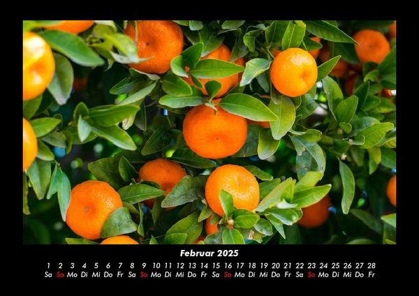 Produktbild: Obstkalender 2025 Fotokalender DIN A3