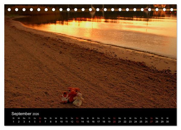 Produktbild: Der B&auml;rchenkalender 2026 (Tischkalender 2026 DIN A5 quer), CALVENDO Monatskalender