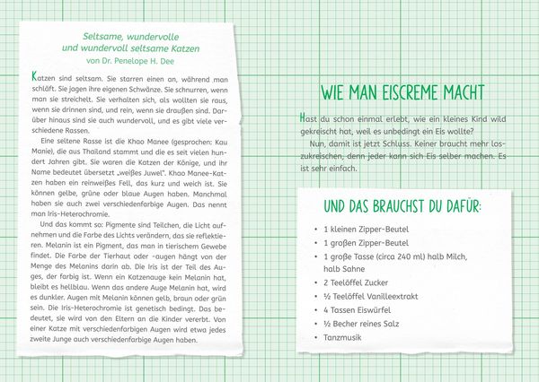 Produktbild: Die Forscherbande: Iggy Peck und das Geheimnis der alten Villa