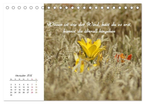 Produktbild: Innehalten in der Natur ... mit Weisheiten und Sprichworten der Indianer (Tischkalender 2026 DIN A5 quer), CALVENDO Monatskalender