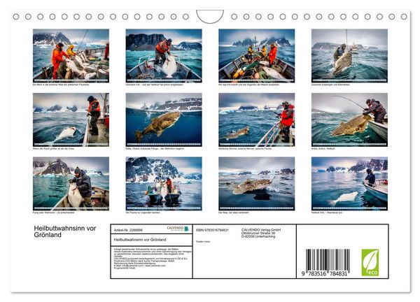 Produktbild: Heilbuttwahnsinn vor Gr&ouml;nland (Wandkalender 2027 DIN A4 quer), CALVENDO Monatskalender