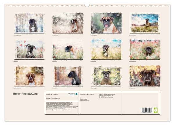 Produktbild: Boxer Photo&Kunst (Wandkalender 2026 DIN A2 quer), CALVENDO Monatskalender