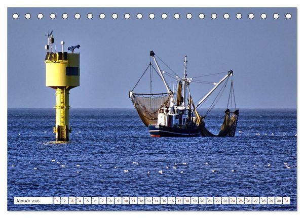 Produktbild: Am Elbdeich - Von Schiffen und Schafen (Tischkalender 2026 DIN A5 quer), CALVENDO Monatskalender