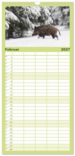 Produktbild: Familienplaner 2027 - Wildschweine &ndash; Wildlife Fotografien mit 5 Spalten (Wandkalender, 21 x 45 cm) CALVENDO