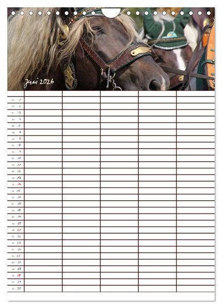 Produktbild: Der Kaltblut-Familienplaner (Wandkalender 2026 DIN A4 hoch), CALVENDO Monatskalender