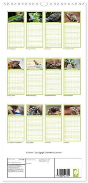 Produktbild: Familienplaner 2026 - Echsen - Schuppige &Uuml;berlebensk&uuml;nstler mit 5 Spalten (Wandkalender, 21 x 45 cm) CALVENDO