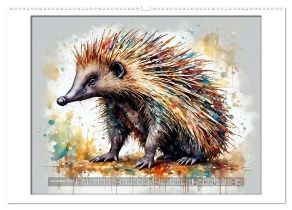 Produktbild: Liebenswerte Beuteltiere (Wandkalender 2026 DIN A2 quer), CALVENDO Monatskalender
