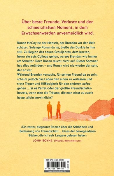 Produktbild: Die Ballade von Ronan McCoy