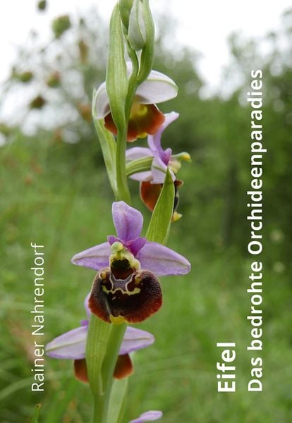 Produktbild: Eifel - Das bedrohte Orchideenparadies