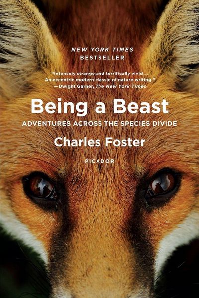 Produktbild: Being a Beast