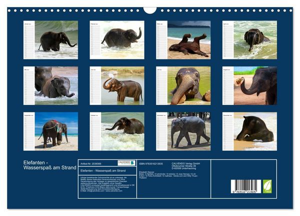 Produktbild: Elefanten - Wasserspa&szlig; am Strand (Wandkalender 2026 DIN A3 quer), CALVENDO Monatskalender