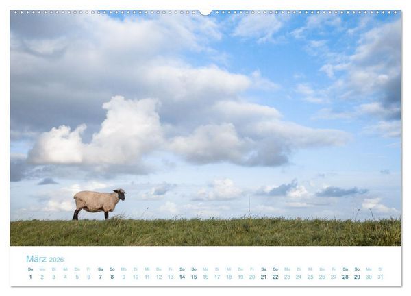 Produktbild: Mehr Nordsee (Wandkalender 2026 DIN A2 quer), CALVENDO Monatskalender