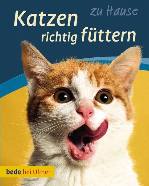 Produktbild: Katzen richtig füttern
