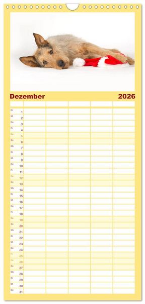 Produktbild: Familienplaner 2026 - Bunte Pfoten mit 5 Spalten (Wandkalender, 21 x 45 cm) CALVENDO