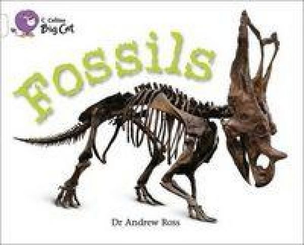 Produktbild: Fossils
