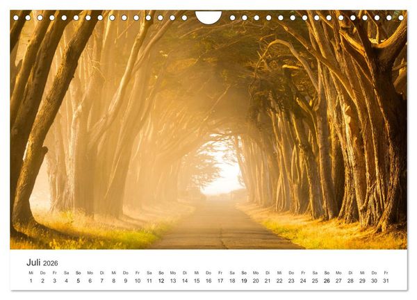 Produktbild: Weisheit - Der Weg ist das Ziel (Wandkalender 2026 DIN A4 quer), CALVENDO Monatskalender