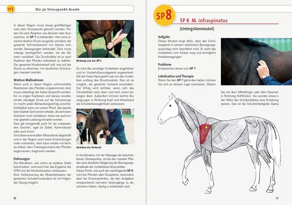 Produktbild: Stresspunktmassage nach Jack Meagher