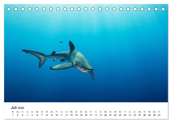 Produktbild: Highlights aus dem Meer - Tauchkalender (Tischkalender 2026 DIN A5 quer), CALVENDO Monatskalender