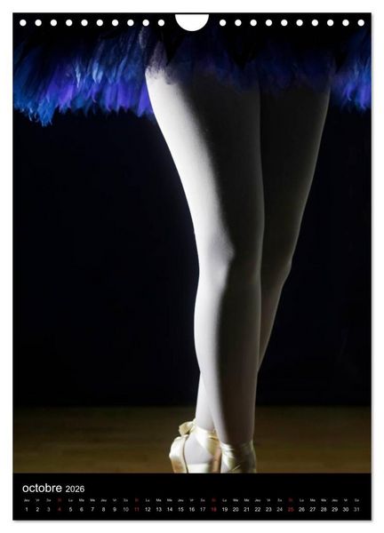 Produktbild: BALLERINE (Calendrier mural 2026 DIN A4 horizontal), CALVENDO calendrier mensuel