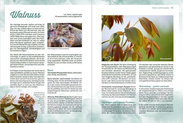 Produktbild: R&auml;uchern im Einklang mit der Natur